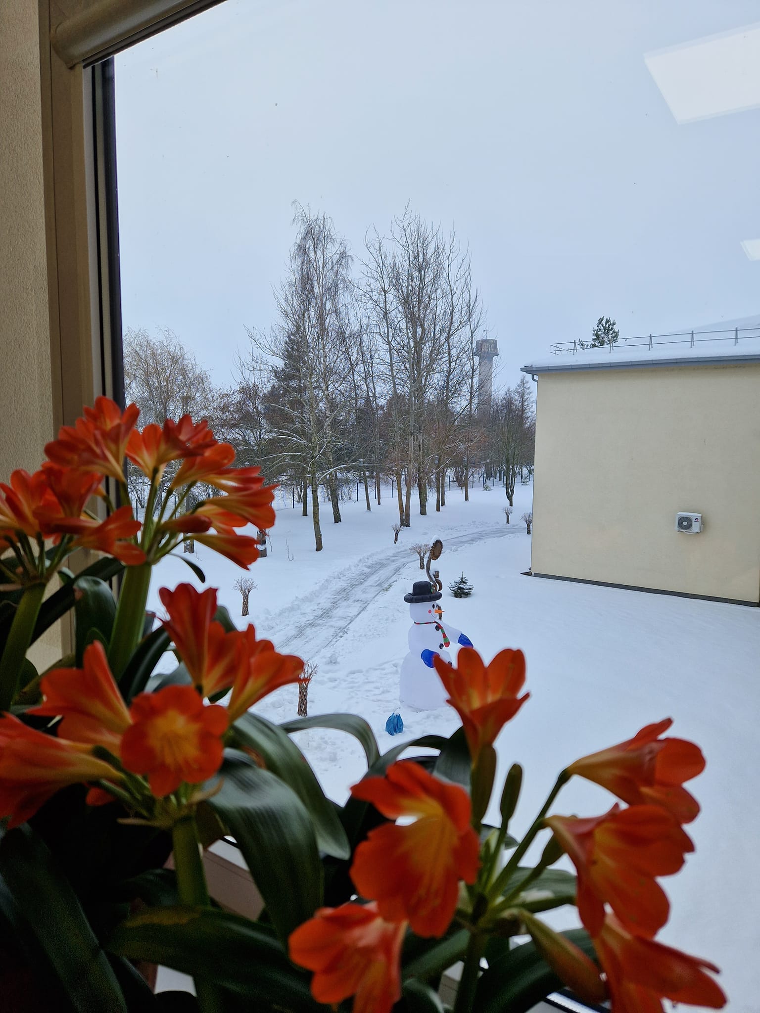 Kalėdų laukimas